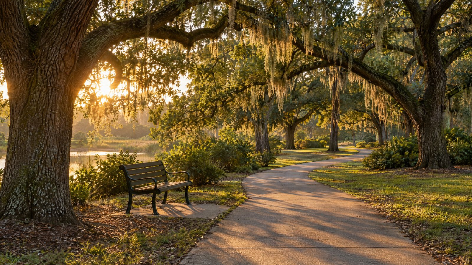Walking path under oak trees at golden hour
